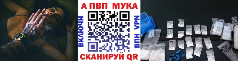shop состав  Магас  Alfa_PVP СК 