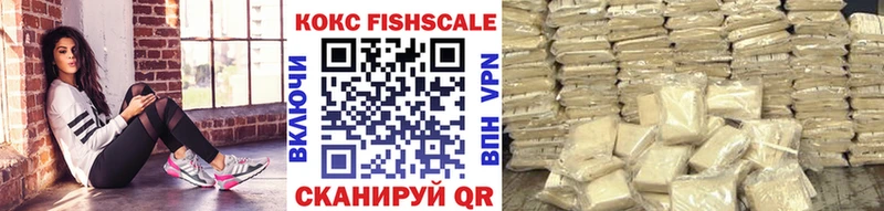 продажа наркотиков  Магас  omg рабочий сайт  Cocaine Fish Scale 