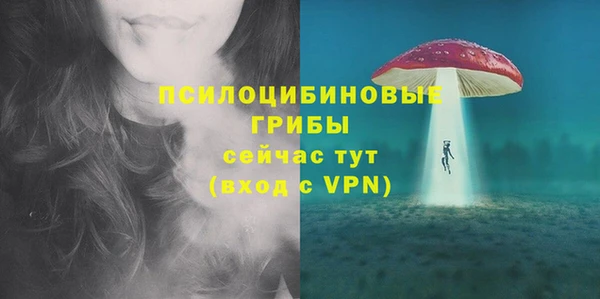 дурь Балахна