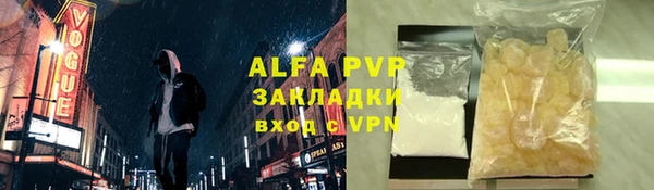 PSILOCYBIN Балабаново