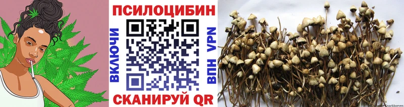 Галлюциногенные грибы Magic Shrooms  hydra ссылки  Магас 