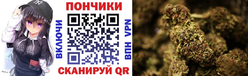 omg как войти  наркота  Магас  МАРИХУАНА Amnesia 
